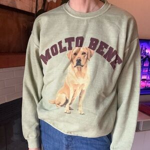 by Anthropologie Dog Sweater Milton Bene Labrador CrewNeck Sweatshirt ~ M